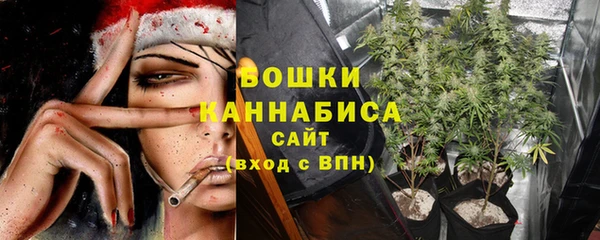 каннабис Алексеевка