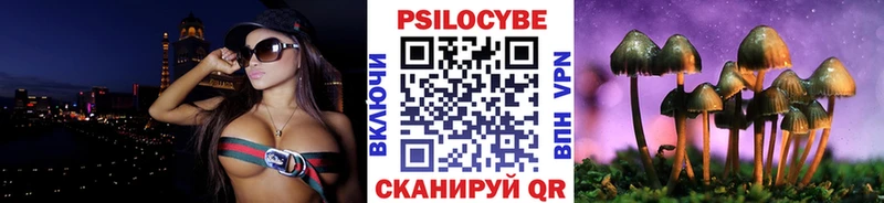 маркетплейс официальный сайт  где купить наркоту  Жуковский  Галлюциногенные грибы Cubensis 