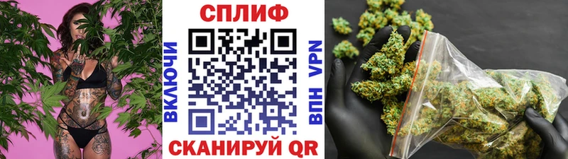 Бошки марихуана ГИДРОПОН  Жуковский 